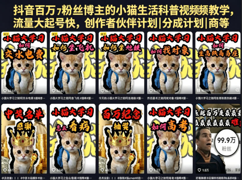 抖音百万粉丝博主的小猫生活科普视频教学，流量大起号快，创作者伙伴计划|分成计划|商单|收徒等-瀚洪创业网