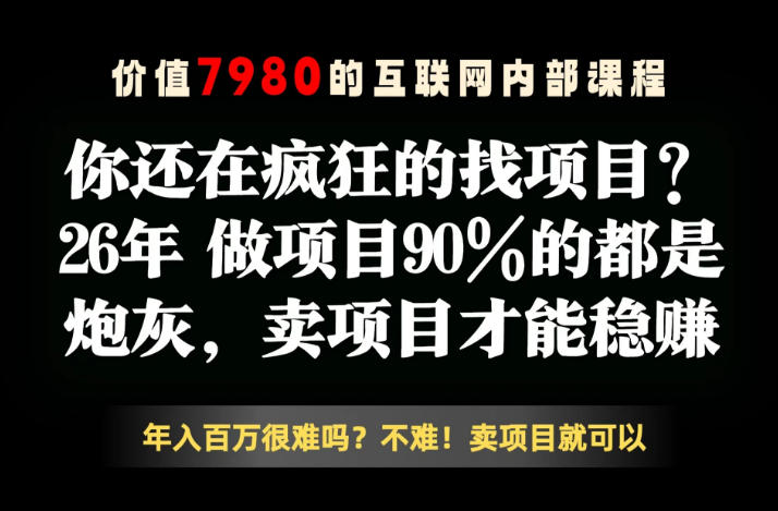 26年请不要疯狂的找项目了，卖项目远比你想象的暴利，你也可以月入10W+【揭秘】-瀚洪创业网