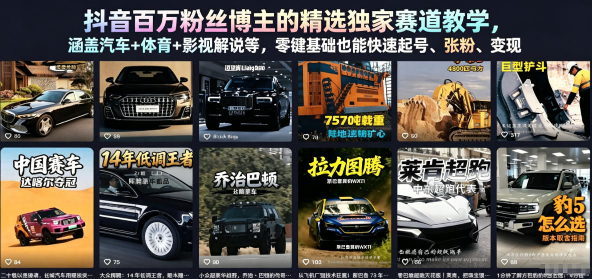 抖音百万粉丝博主的精选独家赛道教学，涵盖汽车+体育+影视解说等，零基础也能快速起号、涨粉、变现-瀚洪创业网