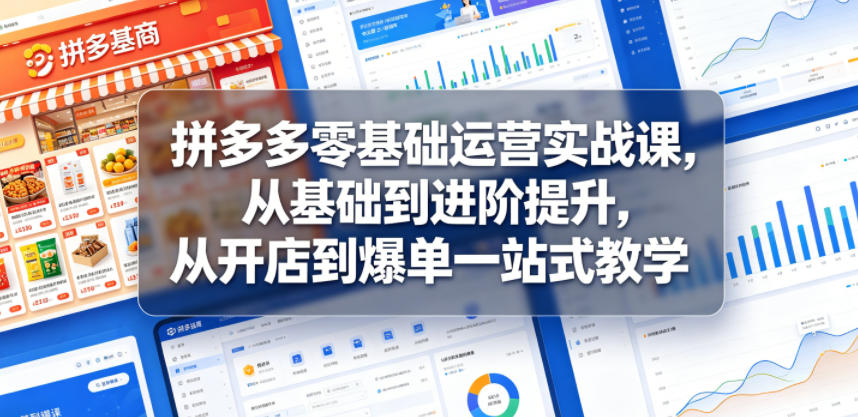 拼多多零基础运营实战课，从基础到进阶提升，从开店到爆单一站式教学-瀚洪创业网