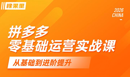 仙道电商·拼多多零基础运营实战课-瀚洪创业网