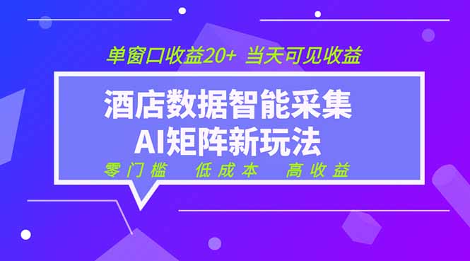 2026酒店数据采集ai智能矩阵新风口  低成本   高收益   当天见收益   单窗口20+-瀚洪创业网